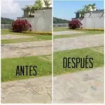 Limpieza y Recuperación de Espacios