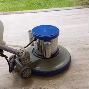 Servicio de Pulitura