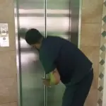 Servicio de Pulitura