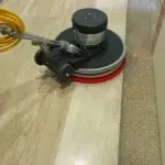 Servicio de Pulitura