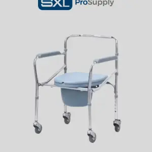 Silla Sanitaria con ruedas