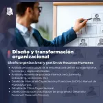 Diseño Organizacional y Gestión de Recursos Humanos