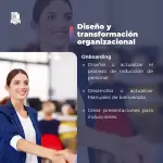 Diseño y Transformación Organizacional