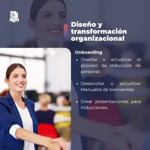 Diseño y Transformación Organizacional